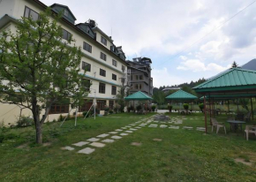 Hotel Celebriti Inn by London vista Hotels - Old Manali